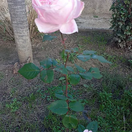 La Casina Di Lalu' * Meleto